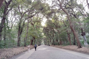 Tokyo: tour guidato del Santuario Meiji Jingu e del giardino interno (2 ore)