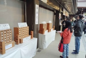 Tokyo: tour guidato del Santuario Meiji Jingu e del giardino interno (2 ore)