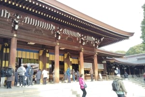 Tokyo: tour guidato del Santuario Meiji Jingu e del giardino interno (2 ore)