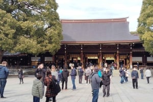 Tokyo: tour guidato del Santuario Meiji Jingu e del giardino interno (2 ore)