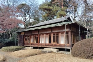 Tokyo: tour guidato del Santuario Meiji Jingu e del giardino interno (2 ore)