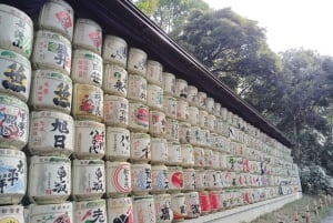 Tokyo: tour guidato del Santuario Meiji Jingu e del giardino interno (2 ore)
