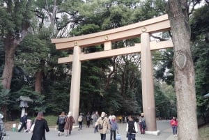 Tokyo: tour guidato del Santuario Meiji Jingu e del giardino interno (2 ore)