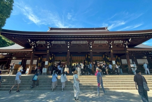Tokyo: tour del Meiji Jingu, del Parco Yoyogi e di Takeshita Street