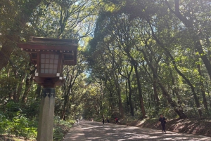 Tokyo: tour del Meiji Jingu, del Parco Yoyogi e di Takeshita Street