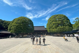 Tokyo: tour del Meiji Jingu, del Parco Yoyogi e di Takeshita Street