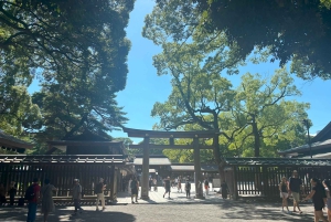 Tokyo: tour del Meiji Jingu, del Parco Yoyogi e di Takeshita Street