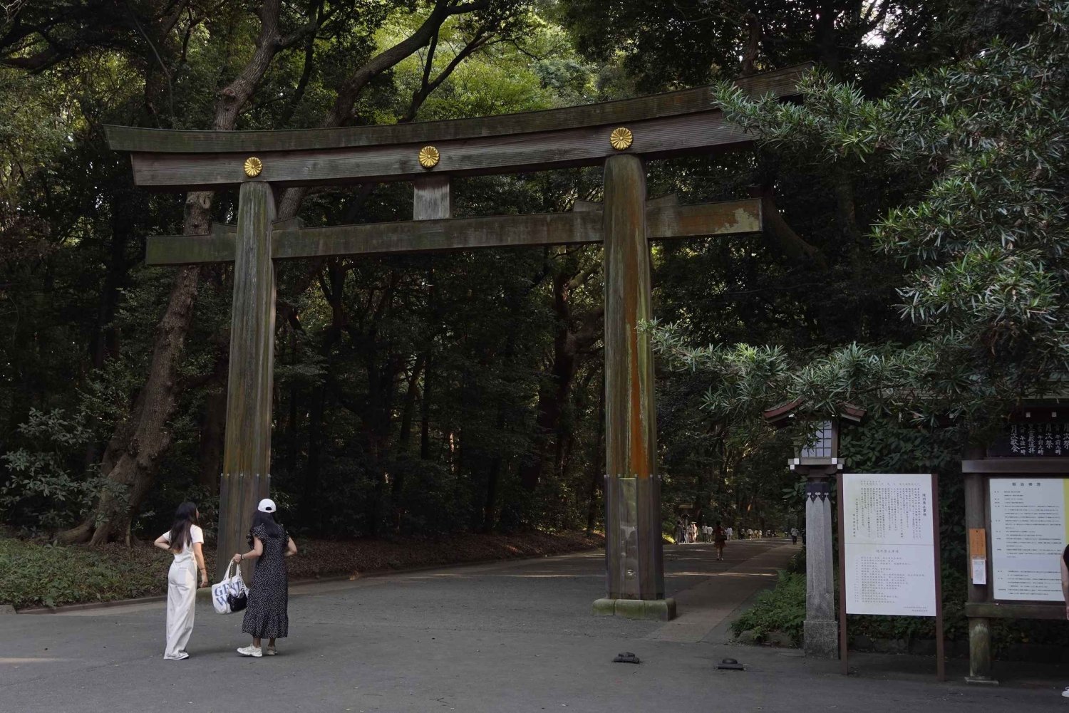 Tokyo: Meiji Shrine and Harajuku Guided Tour