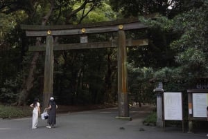 Tokyo: Meiji Shrine and Harajuku Guided Tour