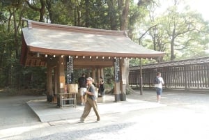 Tokyo: Meiji Shrine and Harajuku Guided Tour