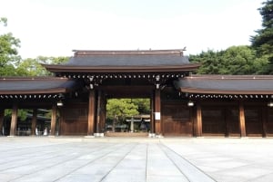 Tokyo: Meiji Shrine and Harajuku Guided Tour