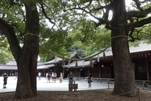 Tokyo: Meiji Shrine and Harajuku Guided Tour