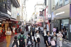 Tokyo: Meiji Shrine and Harajuku Guided Tour