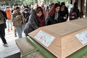 Tóquio: Excursão a pé pelo Santuário Meiji — Sistema xintoísta e imperial