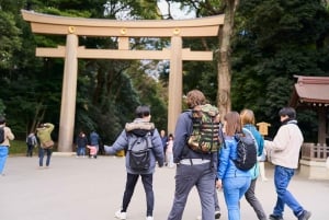 Tóquio: Excursão a pé pelo Santuário Meiji — Sistema xintoísta e imperial