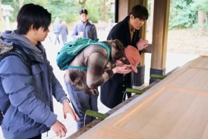 Tóquio: Excursão a pé pelo Santuário Meiji — Sistema xintoísta e imperial