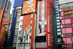 Tóquio completa: Santuário Meiji, Palácio Imperial, Asakusa e Skytree