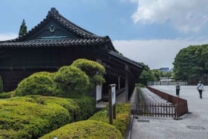 Tokyo: Meiji-helgedomen, kejserliga palatset och Tokyo Skytree-tur