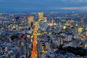 Tokyo: Meiji-helgedomen, kejserliga palatset och Tokyo Skytree-tur