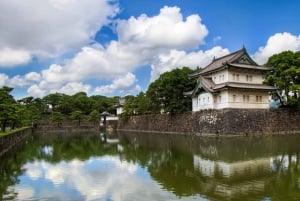 Tokyo: Meiji-helgedomen, kejserliga palatset och Tokyo Skytree-tur