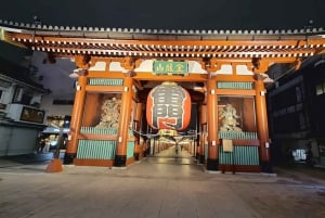 Tokyo: Meiji-helgedomen, kejserliga palatset och Tokyo Skytree-tur