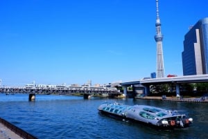 Tokio: Świątynia Meiji, Pałac Cesarski, Asakusa, Odaiba, rejs