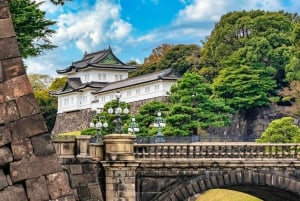 Tokio: Świątynia Meiji, Pałac Cesarski, Asakusa, Odaiba, rejs