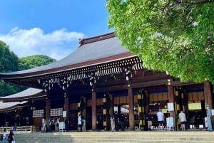Tokio: Świątynia Meiji, Pałac Cesarski, Asakusa, Odaiba, rejs