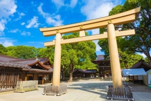 Tokio: Świątynia Meiji, Pałac Cesarski, Asakusa, Odaiba, rejs