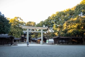 Tokio: Świątynia Meiji, Pałac Cesarski, Asakusa, Odaiba, rejs