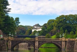 Tokio: Świątynia Meiji, Pałac Cesarski, Asakusa, Odaiba, rejs
