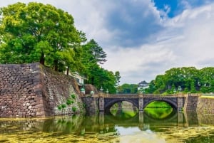 Tokio: Świątynia Meiji, Pałac Cesarski, Asakusa, Odaiba, rejs