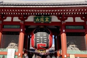 Tokio: Świątynia Meiji, Pałac Cesarski, Asakusa, Odaiba, rejs