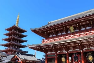 Tokio: Świątynia Meiji, Pałac Cesarski, Asakusa, Odaiba, rejs