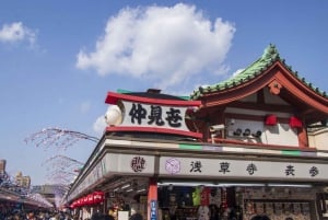 Tokio: Świątynia Meiji, Pałac Cesarski, Asakusa, Odaiba, rejs