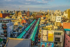 Tokio: Świątynia Meiji, Pałac Cesarski, Asakusa, Odaiba, rejs