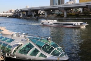 Tokio: Świątynia Meiji, Pałac Cesarski, Asakusa, Odaiba, rejs