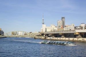 Tokio: Świątynia Meiji, Pałac Cesarski, Asakusa, Odaiba, rejs