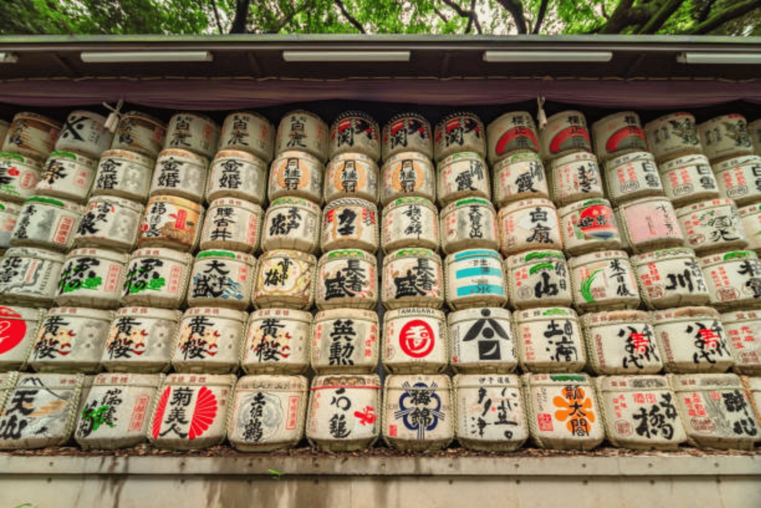 Tokyo : visite à pied du sanctuaire Meiji avec un guide de la région