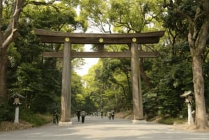 Tokyo: Rundvandring i Meiji-helgedomen med en lokal japansk guide