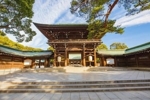 Tokyo: Meiji Shrine Walking Tour with Local Japanese Guide