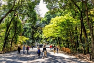 東京：明治神宮ウォーキングツアー（現地ガイド付き）