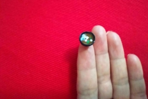 Tokyo: Workshop för japanska miniatyrmåltider i Ginza