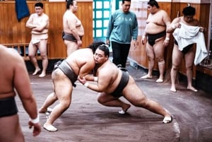 Tokyo: tour mattutino per assistere agli allenamenti di sumo in una vera scuderia