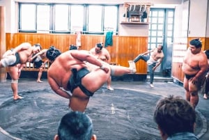 Tokyo: tour mattutino per assistere agli allenamenti di sumo in una vera scuderia