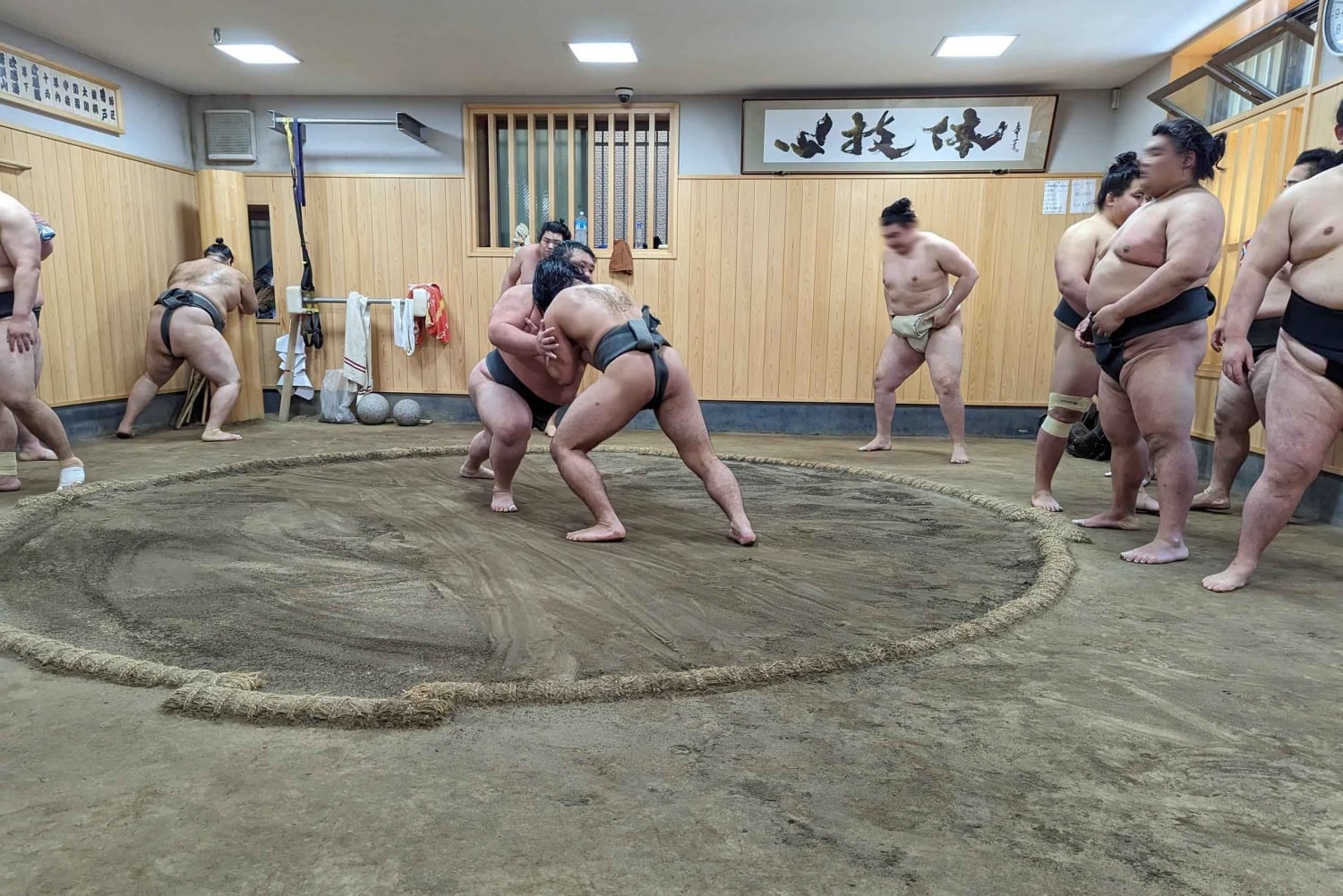 Токио: просмотр утренней тренировки по сумо