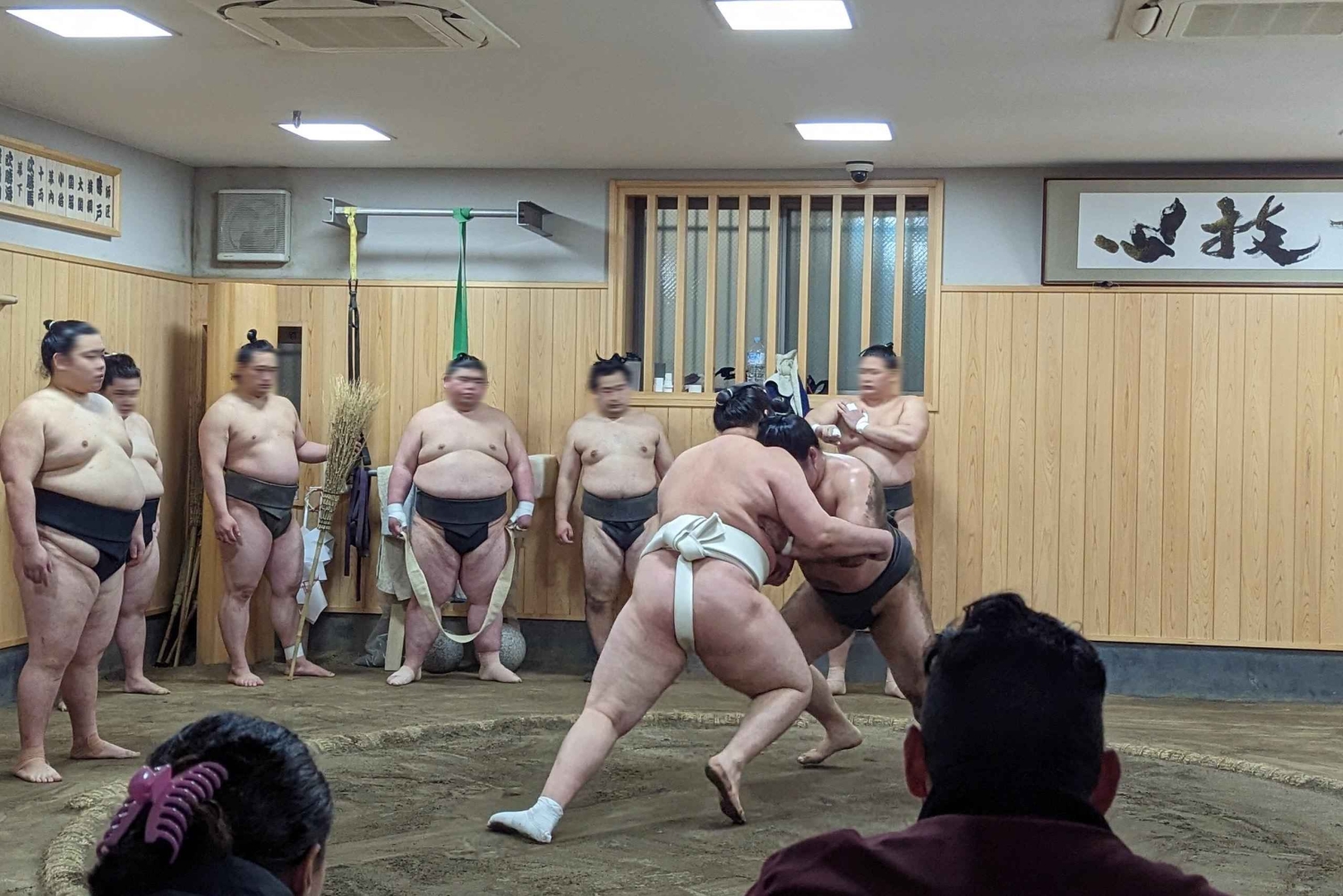 Токио: просмотр утренней тренировки по сумо