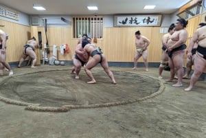 Токио: просмотр утренней тренировки по сумо