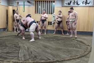 Токио: просмотр утренней тренировки по сумо