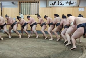 Токио: просмотр утренней тренировки по сумо